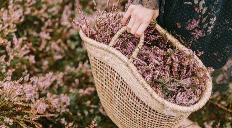 Τι προβλέπουν τα ζώδια για την Κυριακή 3 Νοεμβρίου 2019;