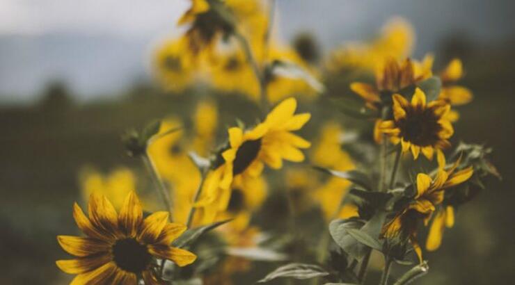 Τι προβλέπουν τα ζώδια για το Σάββατο 7 Σεπτεμβρίου 2019;