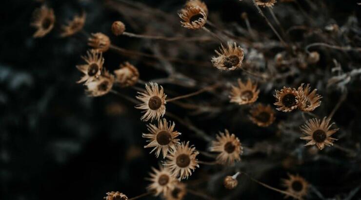 Τι προβλέπουν τα ζώδια για την Τρίτη 10 Σεπτεμβρίου 2019;