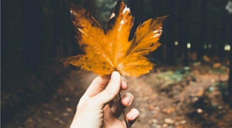 Τι προβλέπουν τα ζώδια για τη Δευτέρα 11 Νοεμβρίου 2019; 