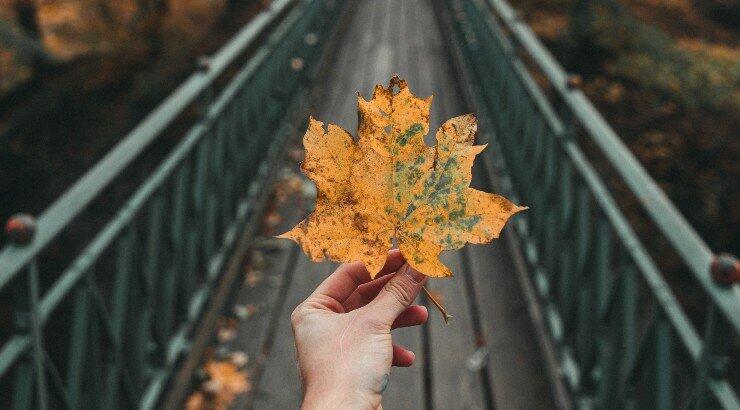 Τι προβλέπουν τα ζώδια για την Τρίτη 7 Δεκεμβρίου 2021;