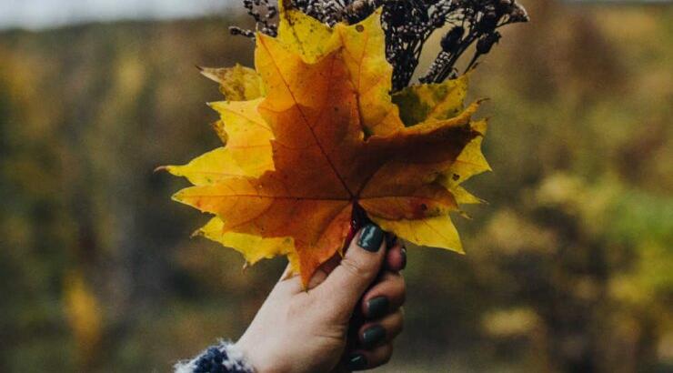 Τι προβλέπουν τα ζώδια για την Κυριακή 8 Νοεμβρίου 2020;