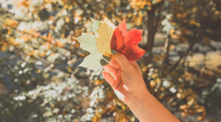 Τι προβλέπουν τα ζώδια για το Σάββατο 9 Μαΐου 2020;