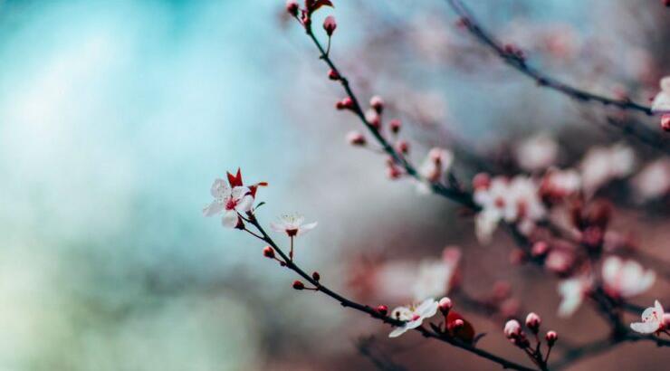 Τι προβλέπουν τα ζώδια για την Τετάρτη 11 Μαρτίου 2020;