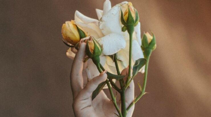 Τι προβλέπουν τα ζώδια για την Πέμπτη 13 Ιουνίου 2019;