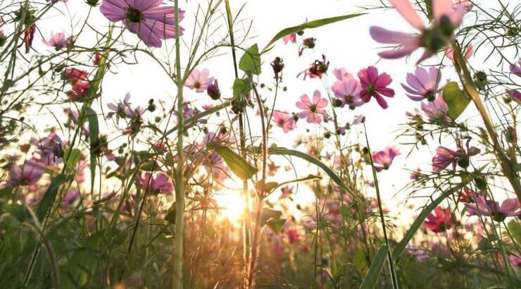Τι προβλέπουν τα ζώδια για την Παρασκευή 1 Μαρτίου 2019;