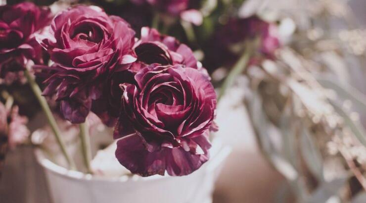 Τι προβλέπουν τα ζώδια για την Πέμπτη 14 Μαΐου 2020; 