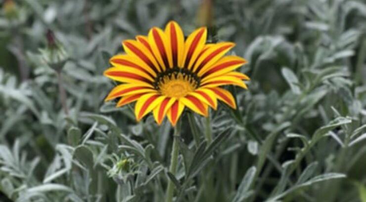 Τι προβλέπουν τα ζώδια για την Τρίτη 17 Μαρτίου 2020;