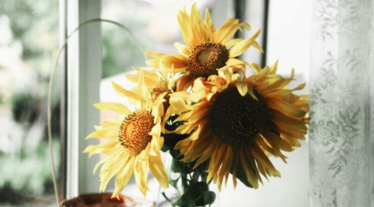 Τι προβλέπουν τα ζώδια για την Τρίτη 19 Μαΐου 2020; 