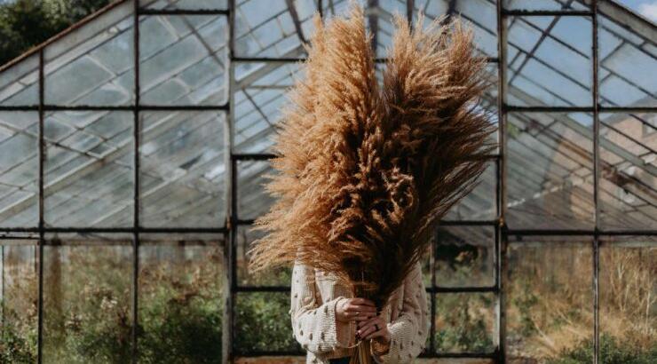 Τι προβλέπουν τα ζώδια για την Κυριακή 19 Ιουλίου 2020;