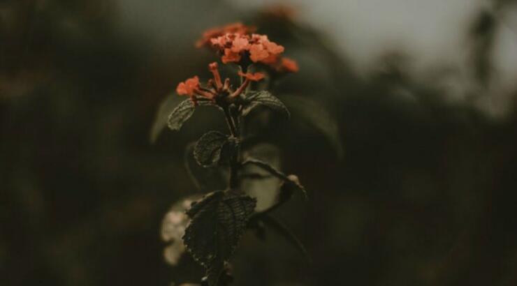 Τι προβλέπουν τα ζώδια για την Τετάρτη 22 Ιανουαρίου 2020;