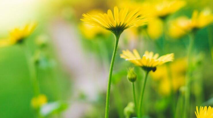 Τι προβλέπουν τα ζώδια για την Παρασκευή 24 Μαϊου 2019;