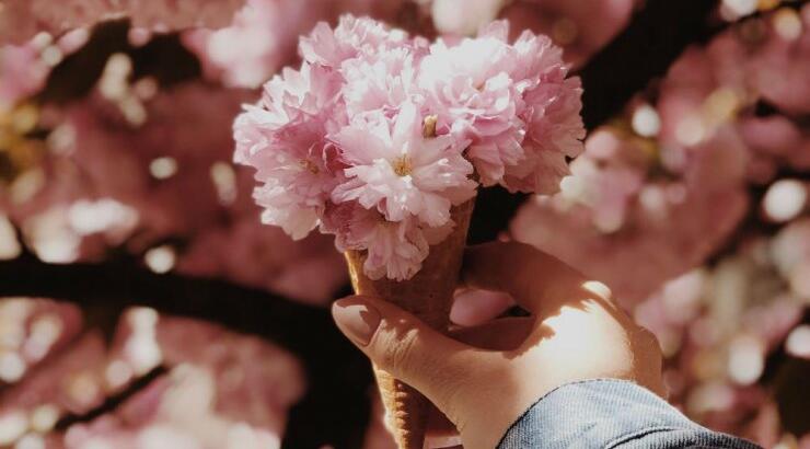 Τι προβλέπουν τα ζώδια για το Σάββατο 23 Μαΐου 2020;