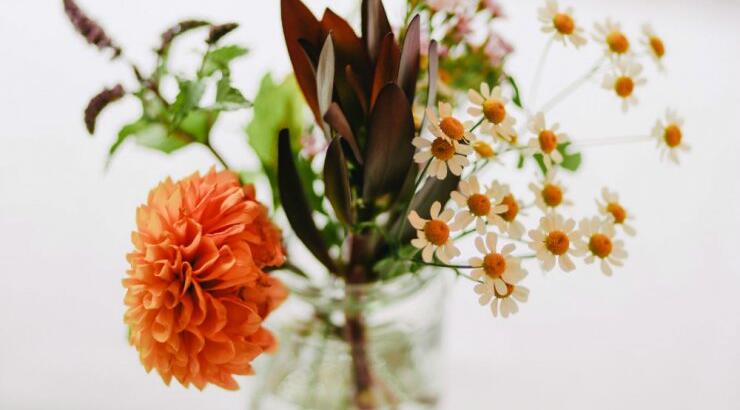 Τι προβλέπουν τα ζώδια για την Πέμπτη 28 Μαΐου 2020; 