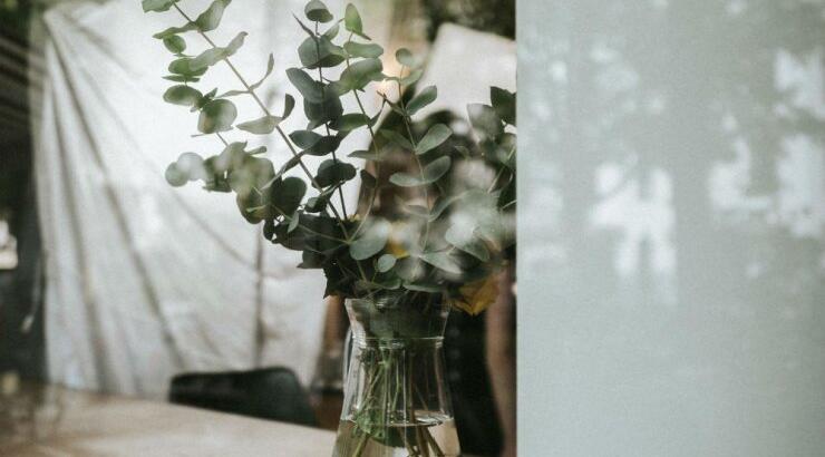 Τι προβλέπουν τα ζώδια για την Τετάρτη 29 Απριλίου 2020;