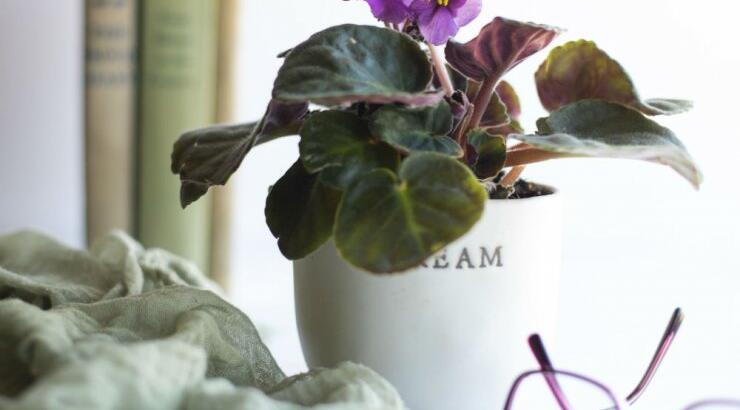 Τι προβλέπουν τα ζώδια για την Τρίτη 4 Αυγούστου 2020;