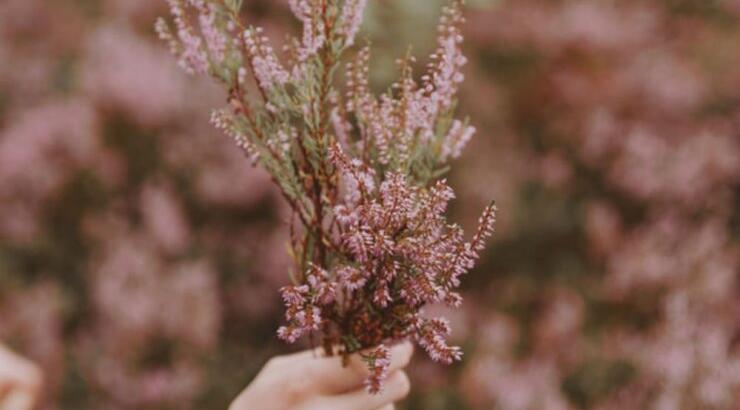 Τι προβλέπουν τα ζώδια για την Πέμπτη 31 Οκτωβρίου 2019;