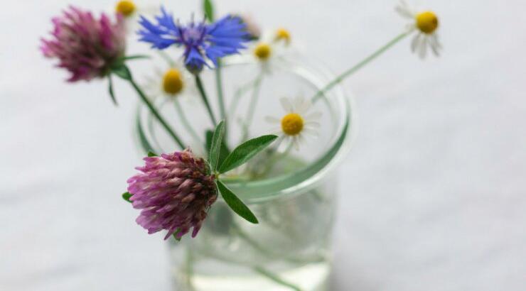 Τι προβλέπουν τα ζώδια για την Παρασκευή 31 Ιουλίου 2020;