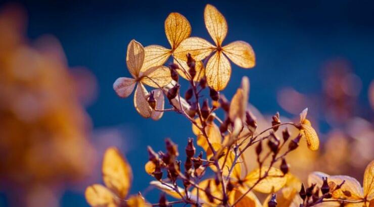 Τι προβλέπουν τα ζώδια για την Τρίτη 4 Φεβρουαρίου 2020;