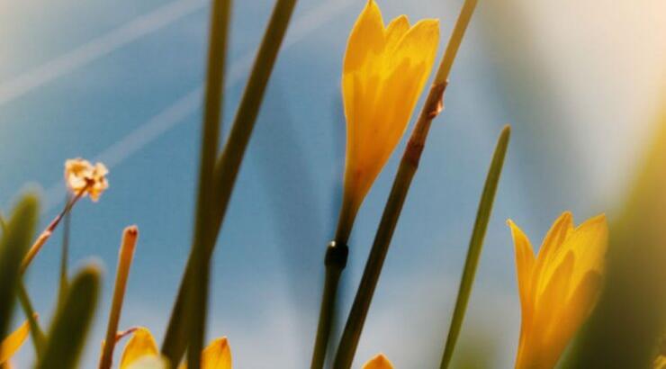 Τι προβλέπουν τα ζώδια για την Πέμπτη 29 Αυγούστου 2019;