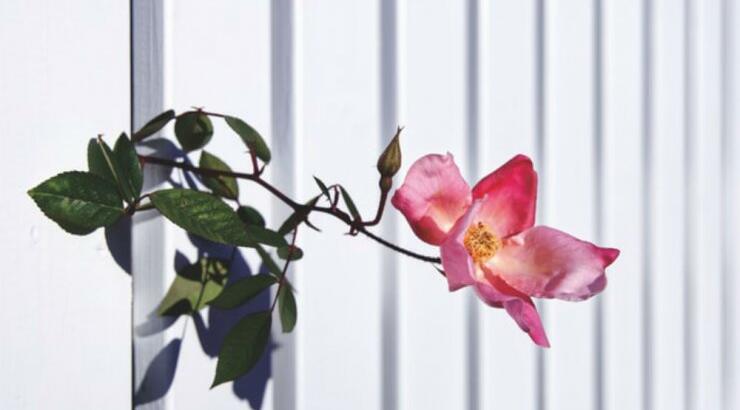 Τι προβλέπουν τα ζώδια για την Τρίτη 3 Σεπτεμβρίου 2019;