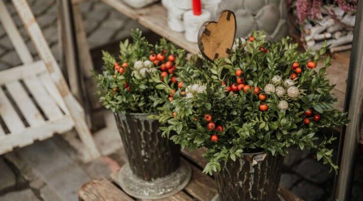 Τι προβλέπουν τα ζώδια για την Πέμπτη 9 Ιανουαρίου 2020;