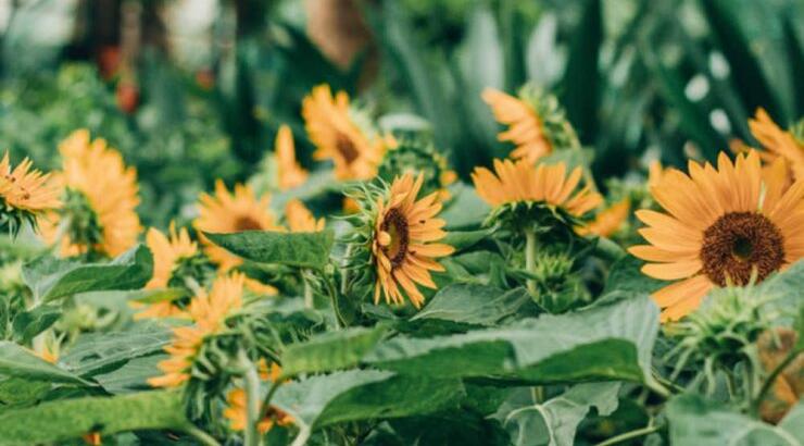 Τι προβλέπουν τα ζώδια τη Δευτέρα 2 Σεπτεμβρίου 2019;