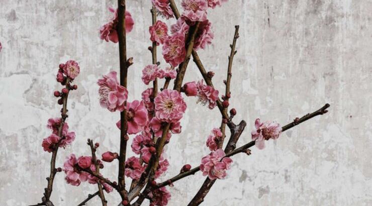 Τι προβλέπουν τα ζώδια για την Πέμπτη 9 Μαϊου 2019;