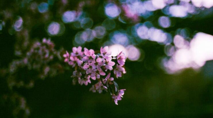 Τι προβλέπουν τα ζώδια για την Τετάρτη 30 Οκτωβρίου 2019;