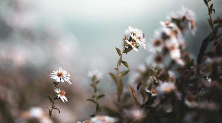 Τι προβλέπουν τα ζώδια για το Σάββατο 26 Οκτωβρίου 2019;