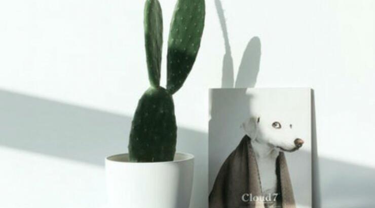 Τι προβλέπουν τα ζώδια για τη Δευτέρα 6 Μαΐου 2019; 