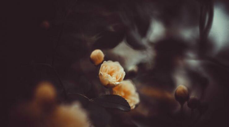 Τι θα φέρει η εβδομάδα για όλα τα ζώδια από τις 19 έως τις 25 Μαϊου 2019;