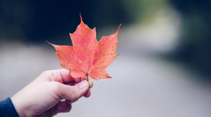Τι προβλέπουν τα ζώδια για τον μήνα Νοέμβριο!