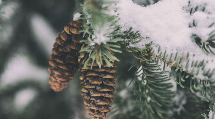 Τι θα φέρει ο μήνας Δεκέμβριος για όλα τα ζώδια;