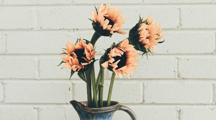 Τι θα φέρει ο μήνας Απρίλιος για όλα τα ζώδια;