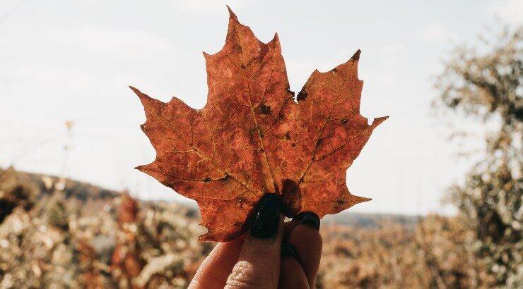 Τι θα φέρει ο μήνας Σεπτέμβριος σε όλα τα ζώδια;