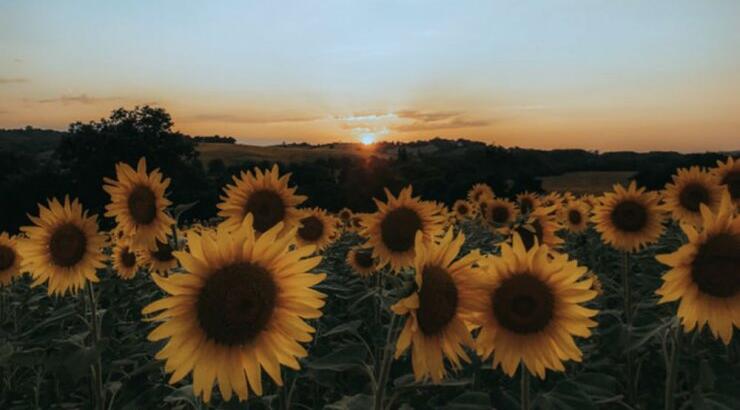 Τι προβλέπουν τα ζώδια για την Τετάρτη 13 Νοεμβρίου 2019;
