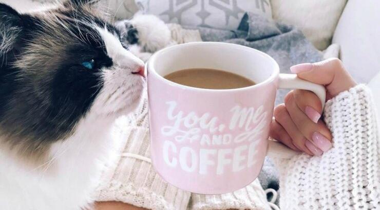 Τι προβλέπουν τα ζώδια για την Τρίτη 29 Ιανουαρίου 2019;