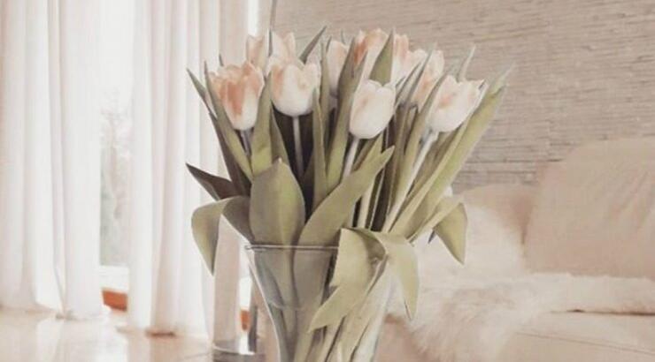 Τι προβλέπουν τα ζώδια για την Τρίτη 19 Φεβρουαρίου 2019;