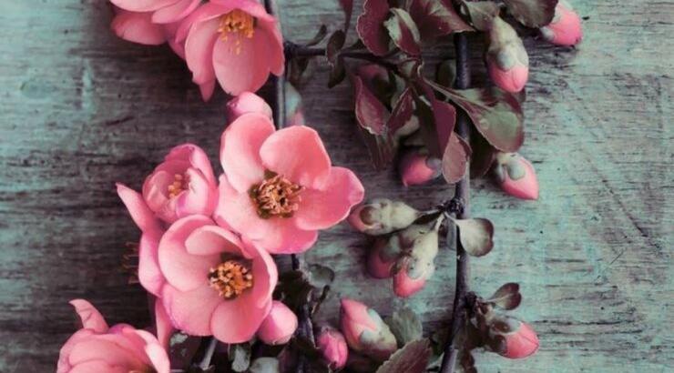 Τι προβλέπουν τα ζώδια για την Τρίτη 26 Φεβρουαρίου 2019;