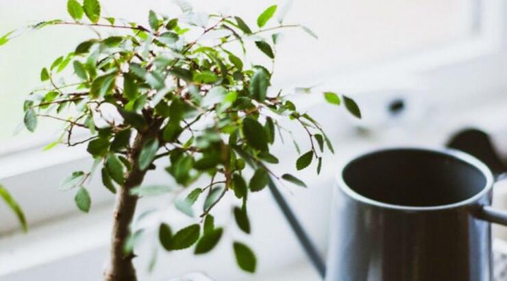 Τι προβλέπουν τα ζώδια για την Τρίτη 24 Σεπτεμβρίου 2019;