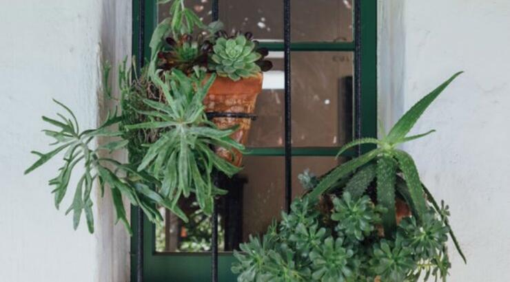 Τι προβλέπουν τα ζώδια για την Τρίτη 2 Ιουλίου 2019;