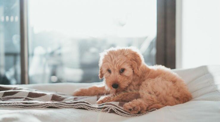 Τι προβλέπουν τα ζώδια για την Τετάρτη 25 Σεπτεμβρίου 2019;