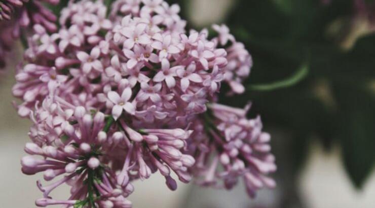 Τι προβλέπουν τα ζώδια για το Σάββατο 28 Σεπτεμβρίου 2019;
