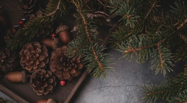 Τι προβλέπουν τα ζώδια για τη Δευτέρα 23 Δεκεμβρίου 2019; 