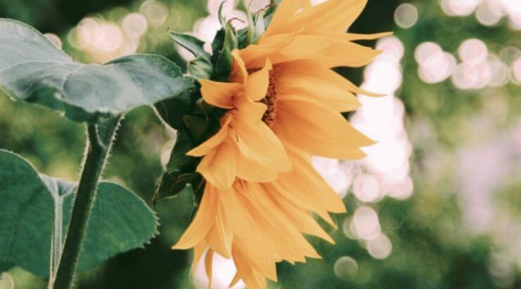 Τι προβλέπουν τα ζώδια για τη Δευτέρα 30 Σεπτεμβρίου 2019; 