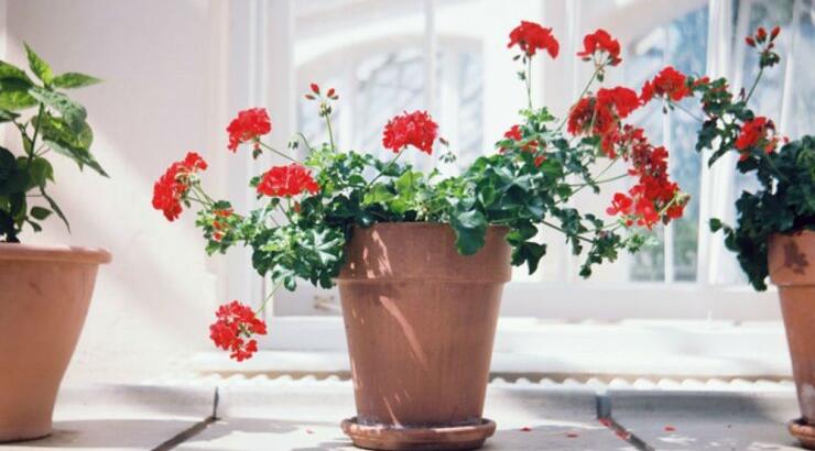 Τι προβλέπουν τα ζώδια για την Τετάρτη 16 Οκτωβρίου 2019;