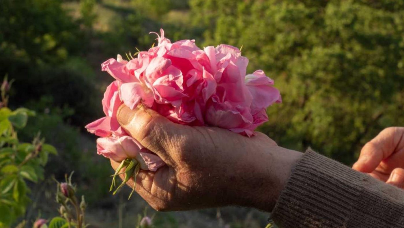 O ΑΓΡΟΣ ΕΧΕΙ ΤΗΝ ΠΙΟ ΓΛΥΚΙΑ ΙΣΤΟΡΙΑ!