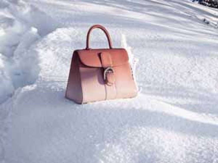 Γιατί όλες θέλουν να κρατάνε μια Delvaux Bag; 