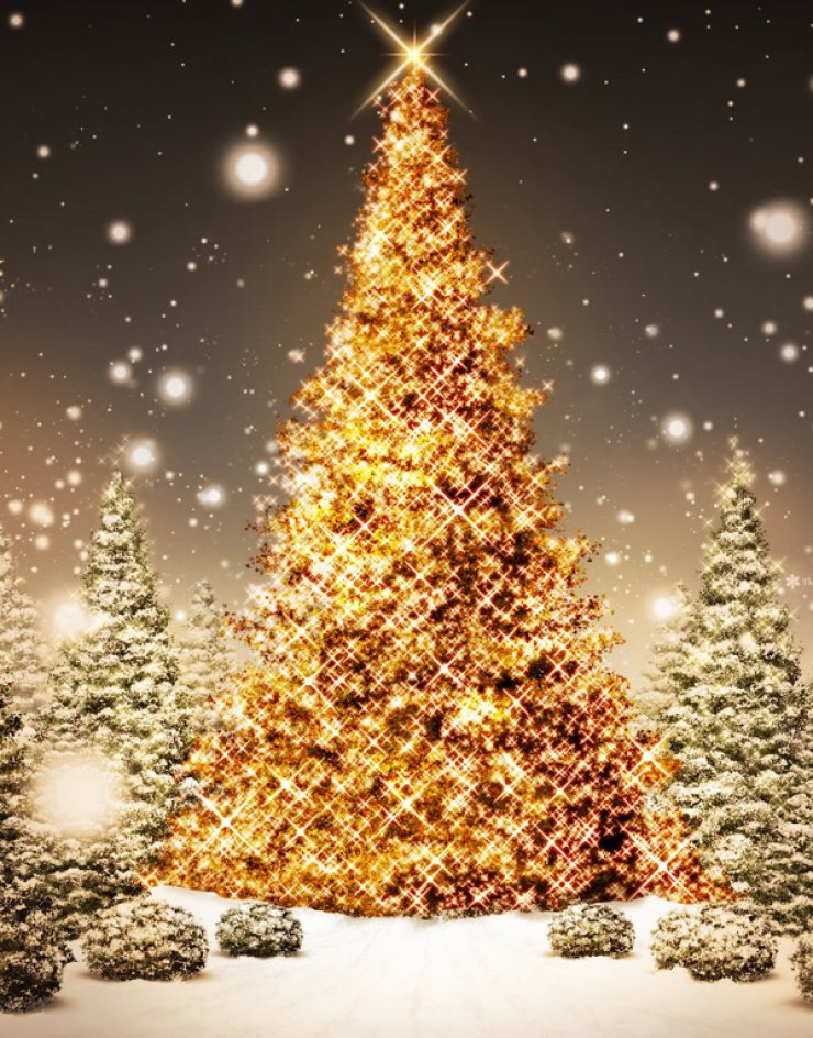 Χριστούγεννα στο Παραλίμνι [όλες οι εκδηλώσεις]